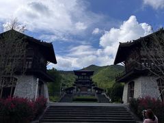 -大唐贡茶院