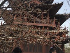 -西安青龙寺遗址景区