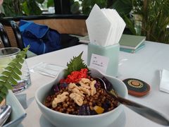 山野健康大麦饭-梧桐