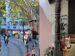 -猫的天空之城概念书店(杭州南宋御街店)