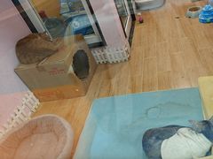 -联合动物医院(光谷诊疗中心)