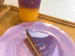 星云-Husky Go! 哈士奇体验馆·宠物咖啡厅狗咖