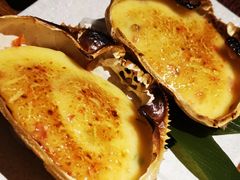 -青叶日式料理(飘亮阳光广场店)