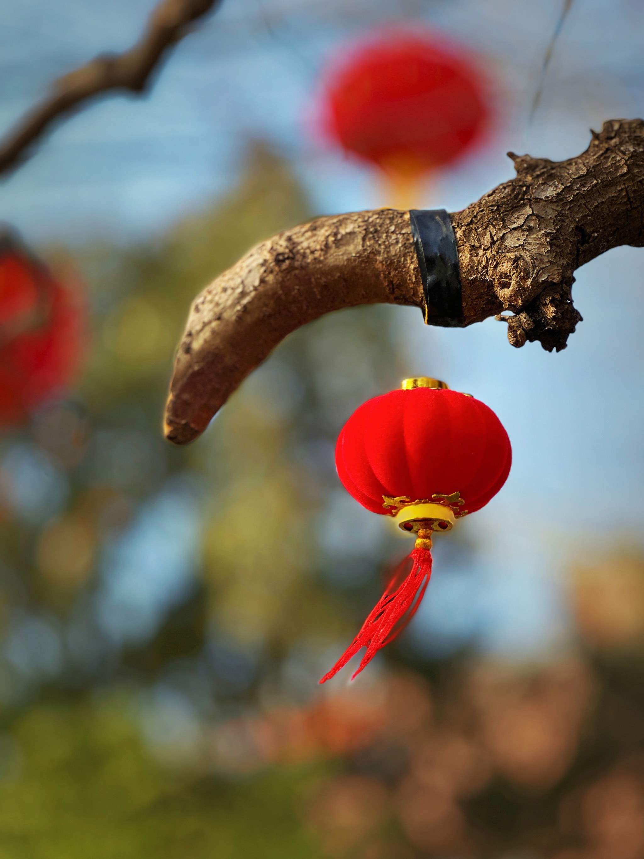 大红灯笼高高挂场景图片