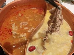 花胶鸡锅底-伊豆野菜村(大族广场店)
