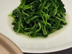 清炒鸡毛菜-屋里厢上海菜馆