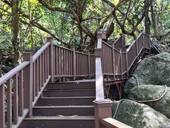 -七仙岭温泉国家森林公园