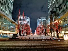 -北海道厅旧本厅舍(旧本庁舎)