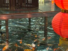 -潇湘甲鱼村(清河店)