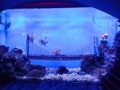 -太平洋海底世界