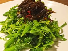 山茶油丝瓜尖-清水亭湖北菜(大屯DT51店)