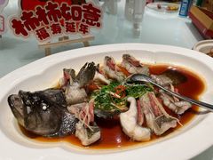 龙趸石斑鱼-湖锦酒楼·旗舰店(三阳总店)