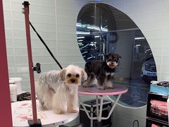 -FAELING PETS美天灵宠物(合生汇店)