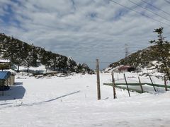 -齐岳山