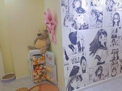 -团子家猫咪猫咖馆·柯基·柯尔鸭