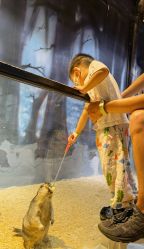 -酷嗒动物文化乐园(cutezoo西溪乐天城店)