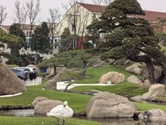 -罗红摄影艺术馆