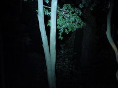 -火炉山森林公园
