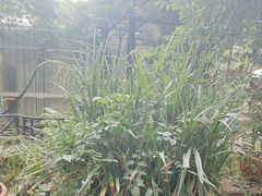 -宅里香.自然餐厅(湘大店)