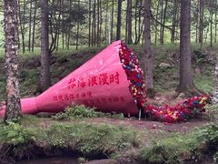 -汤旺河林海奇石景区