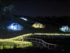 -大塘金香草谷