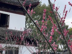-汇龙潭