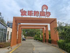 -欢乐松鼠谷