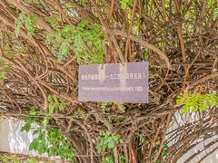 -北京鲁迅博物馆(北京新文化运动纪念馆鲁博馆区)