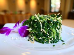 -龙井壹号·茶缘山景宴(龙井村店)