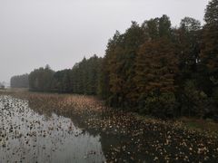-东湖落雁景区