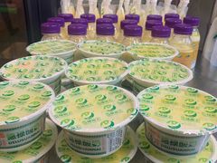 -德禄酸奶(莫家街店)