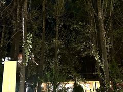-林间山庄