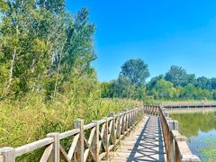 -野鸭湖国家湿地公园