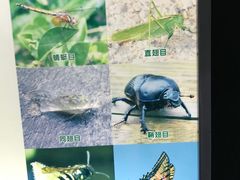 -上海昆虫博物馆