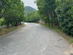 -金龙寺国家森林公园