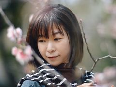 -王借岗森林公园
