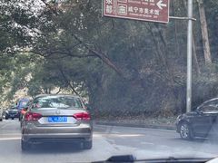 -三江森林温泉度假区