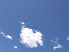 -御林古桑园