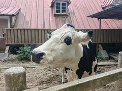 -神户市立六甲山牧场