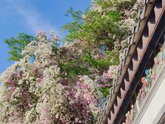 -深圳国际园林花卉博览园