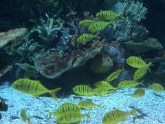 -欢乐海岸海洋奇梦馆