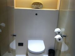 简约的马桶-上海璞麗酒店