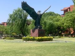 -上海交通大学(闵行校区)