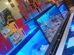 -新海渔港·胶东海鲜家常菜·家宴(奥体中心店)