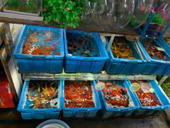-万商花鸟市场