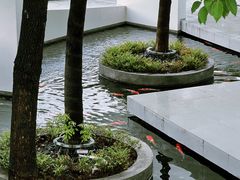 -紫马岭公园