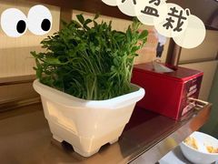 -海底捞火锅(河东万达广场店)