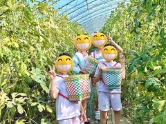 -庞各庄西瓜蔬菜采摘园·锦华瓜园
