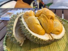 -榴莲BB 四季果园