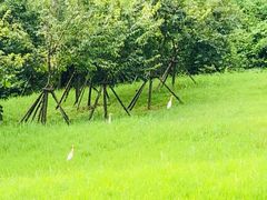 -福建鲤鱼洲酒店